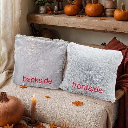 Pack of 2 Luxury Faux Fur Throw Pillow Cover Deluxe Decorative Plush Pillow Case Cushion Cover for Sofa Bedroom  （no pillowcore）